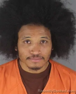 Booking photo from Hennepin County, Minnesota