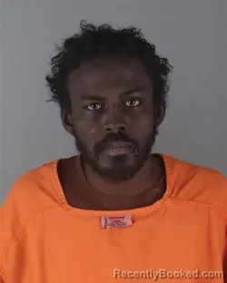 Booking photo from Hennepin County, Minnesota