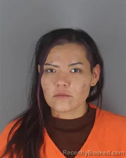 Booking photo from Hennepin County, Minnesota