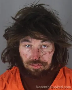 Mugshot of MICHAEL PATRICK FARRELLY