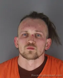 Mugshot of DINIIL LOTS