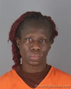 Booking photo from Hennepin County, Minnesota