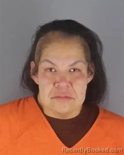 Mugshot of RENEE ZHOUSHKOGESHIG GALE