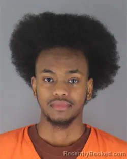 Mugshot of ABDIMALIK FARAH MOHAMED