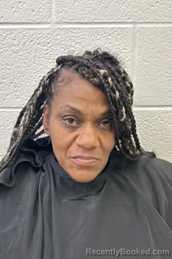 Mugshot of SHEMECA QUINETTE HUGHES