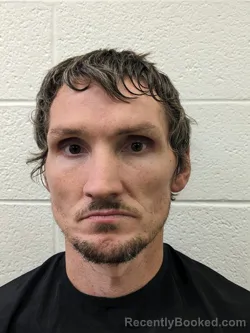 Mugshot of ANTHONY DEWAYNE COLE