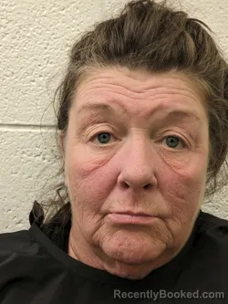 Mugshot of VICKI ROGERS STURGILL