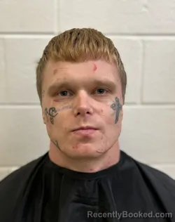 Mugshot of JOHANNES GERADUS DEBETS