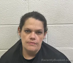 Mugshot of LISA MARIE HOLLAND