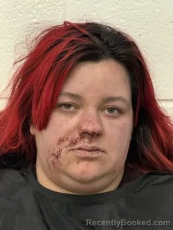 Mugshot of BRITTANY NICOLE TROTTER