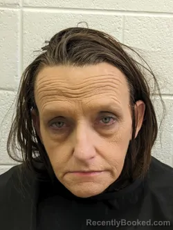 Mugshot of CHRISTY WHISNANT CLAY