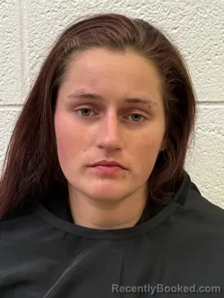 Mugshot of VICTORIA ELLEN WILSON