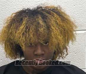 Mugshot of LANIAH AMERRA SNOW