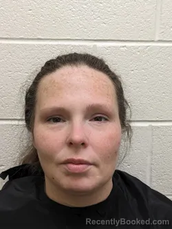 Mugshot of PAIGE ELAINE  CONNER REYNOLDS