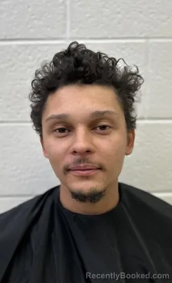 Mugshot of CAMERON MAURICE WALLS