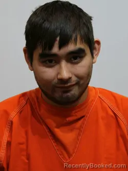 Mugshot of LEO GOTCHIE