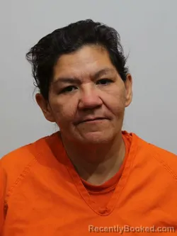 Mugshot of MELISSA SMITH