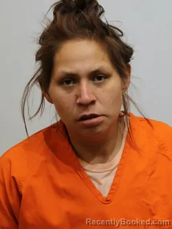 Mugshot of BRANDI BROWN