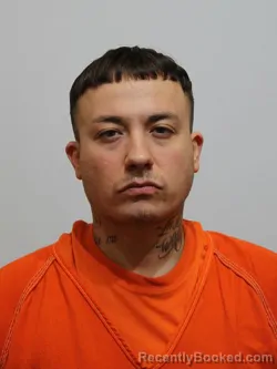 Mugshot of JESSE WILKINSON