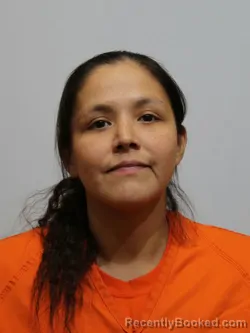 Mugshot of CHEYENNE LIGHTFEATHER