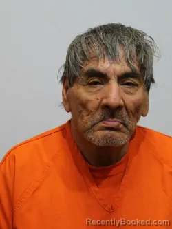 Mugshot of DALE YOUNG-RUNNING-CRANE