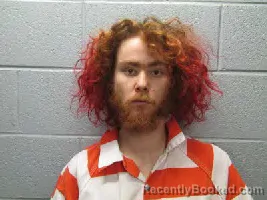 Mugshot of JESSE HENSON