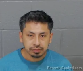 Mugshot of JOSE FLORES GONZALEZ