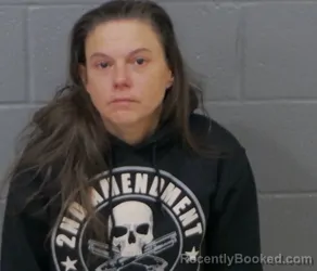 Mugshot of ELIZABETH ANNE HATLEY