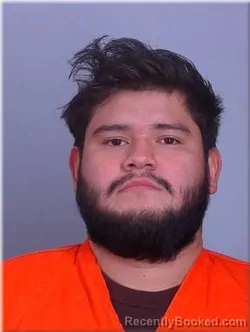 Mugshot of Olvin Leon-Molina