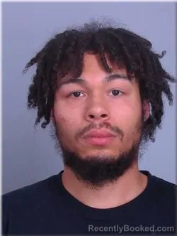 Booking photo from Sherburne County, Minnesota