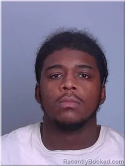 Booking photo from Sherburne County, Minnesota