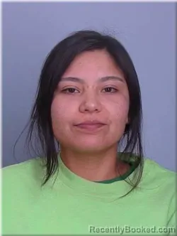 Booking photo from Sherburne County, Minnesota