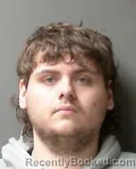 Booking photo from Sibley County, Minnesota