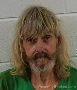 Mugshot of RONNIE LEE DOUGLAS