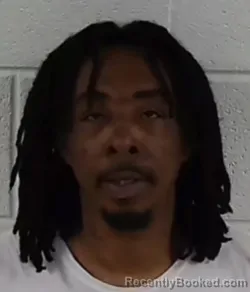 Mugshot of ROBERT LEE MYERS