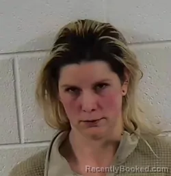 Mugshot of KELLEY MARIE SULLIVAN