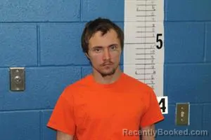 Mugshot of JOSHUA TERRY HENLEY