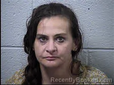 Mugshot of Lillian Rochelle Shugart