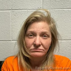 Mugshot of Christine Bradshaw Faries