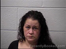 Mugshot of Felisha Lynn Wohlers