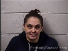 Mugshot of Natasha Noel Robinette