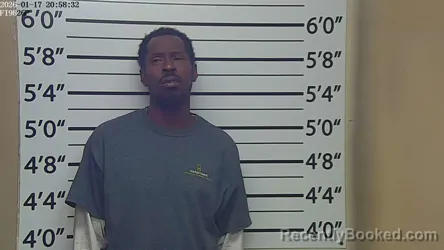 Mugshot of LABORIS OCTAVIUS GUNN