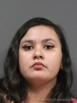 Mugshot of ALMA LYDIA RUBIO