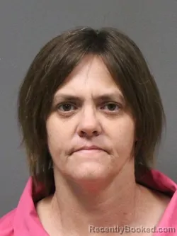 Mugshot of ALISA MICHELLE WELLS