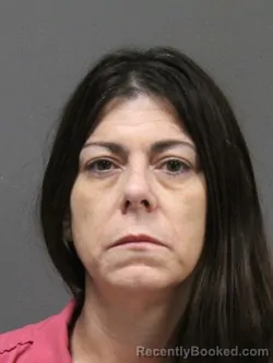 Mugshot of BRANDY MCGEE