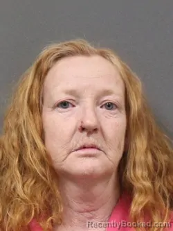 Mugshot of BONNIE SUE MCFARLIN