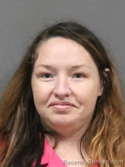 Mugshot of DESTINY L WELLS