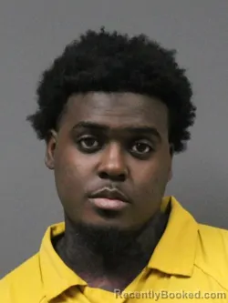Mugshot of KAMEREN TAYLOR
