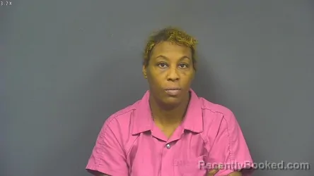Mugshot of LESHYRE DENISE DRIVER