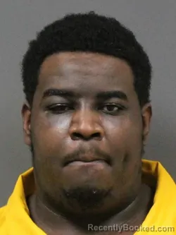 Mugshot of LATERION GIVAND